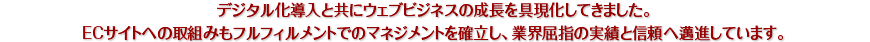 ウェブサイト