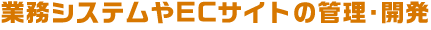 業務システムやECサイトの管理・開発